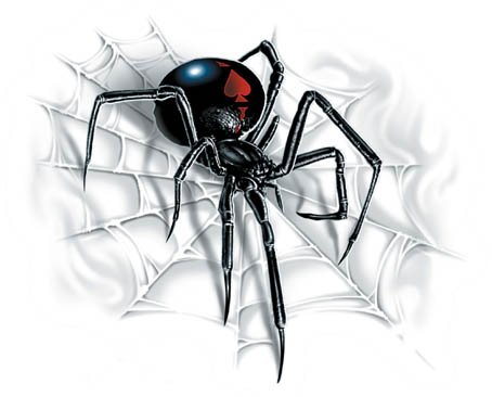 SPIDER STICKER - RARE NEW BLACK WIDOW Decal