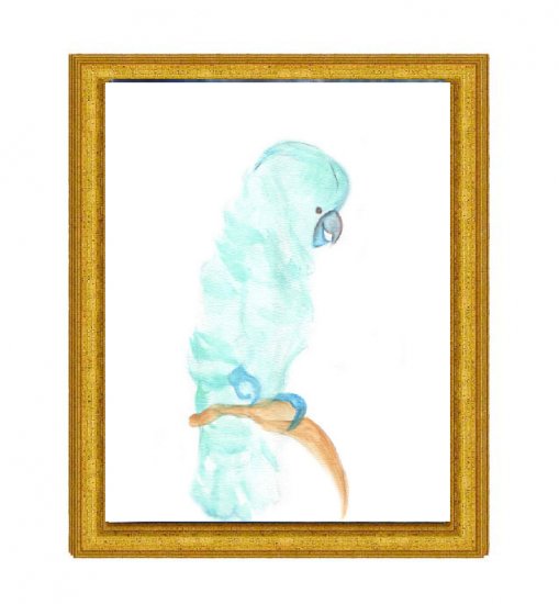 Blue Parrot