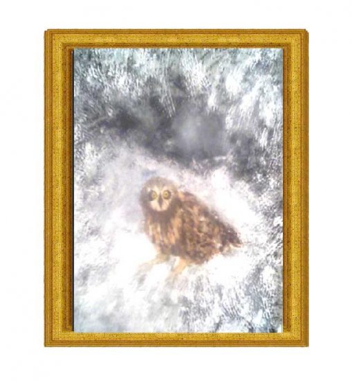 Snowy Owl