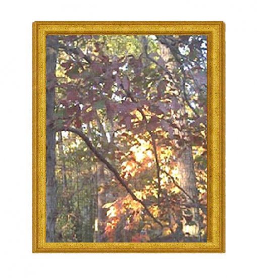 Autumn Light