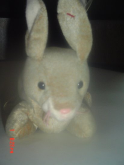 Nibbly