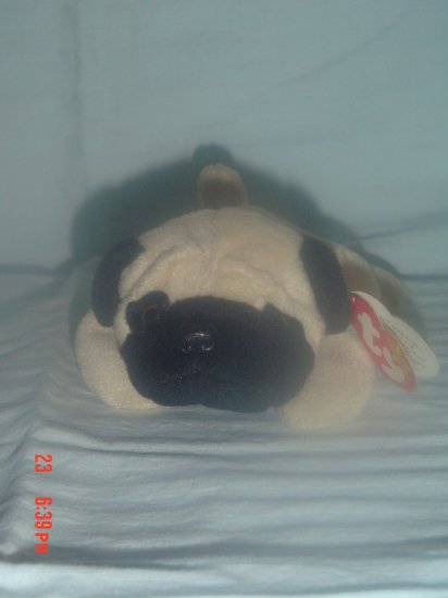 Pugsly