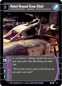 #30 Rebel Ground Crew Chief