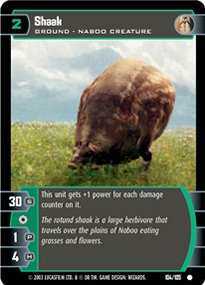 #104 Shaak JG