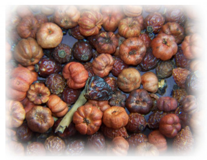 Vanilla Hazelnut Fixin's
