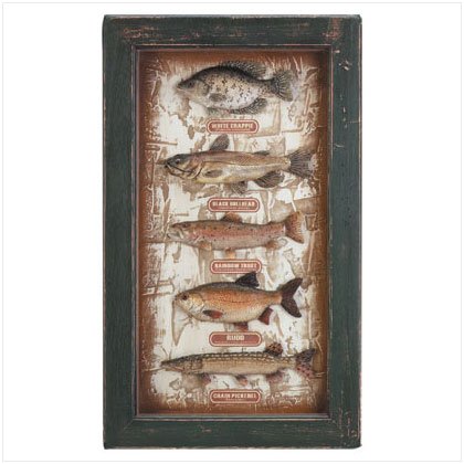 Freshwater Fish Shadow Box