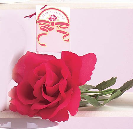 Musical Rose