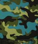 Amphibian Camo