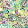 Paisley Lime
