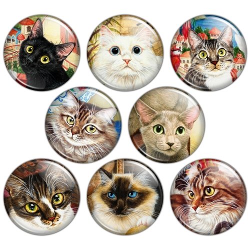 Everyday Cat 1.25 inch Pinback Button Badge Set 1