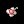 White Petal