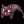 Drooping Cat