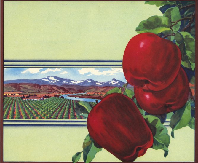 APPLE STOCK CRATE LABEL # 1043
