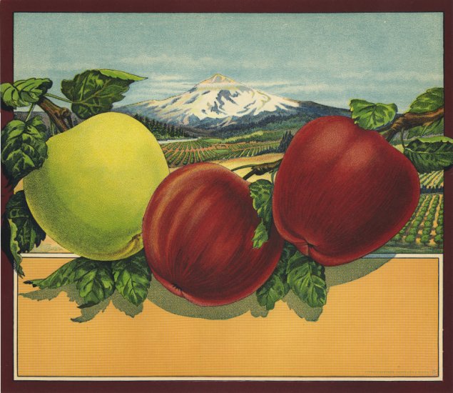 SIMPSON & DOELLER, PORTLAND & BALTO APPLE STOCK LABEL