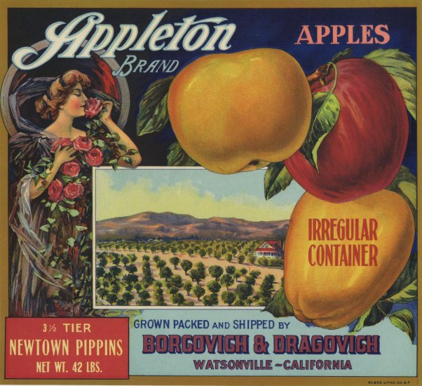 APPLETON 3 1/2 TIER NEWTOWN PIPPINS APPLE CRATE LABEL