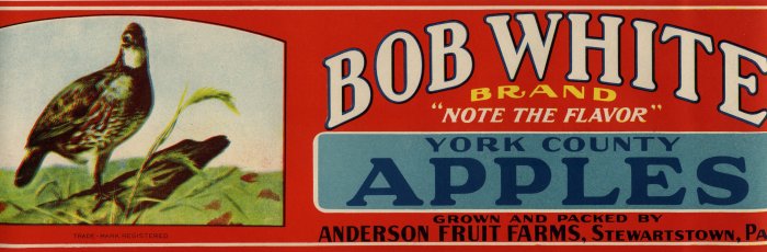 BOB WHITE YORK COUNTRY APPLE LUG LABEL