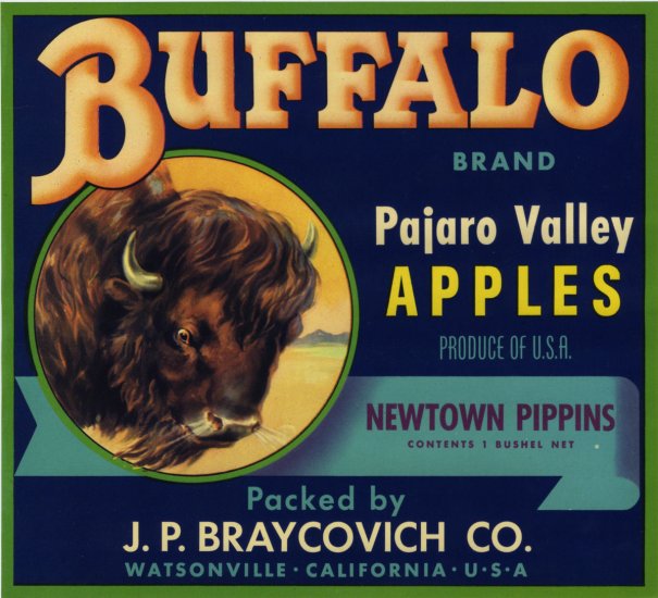BUFFALO PAJARO VALLEY CRATE LABEL