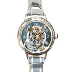 Tiger Italian Charm Watch