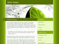 Website Design For Your Business T0005