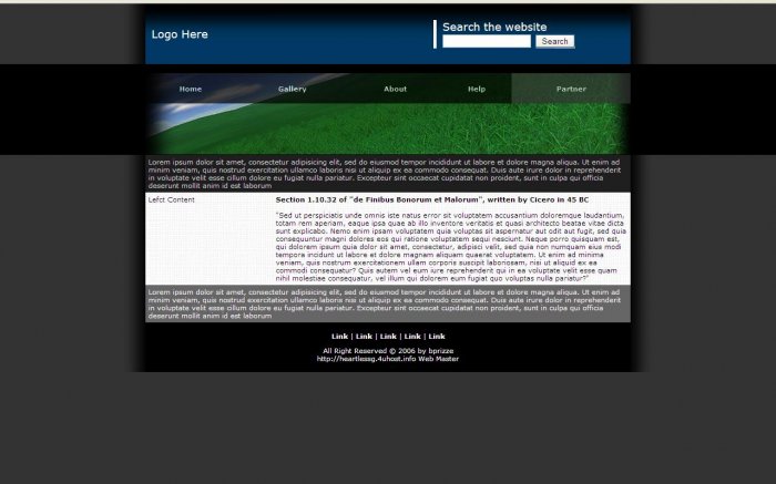 Website Design T0021