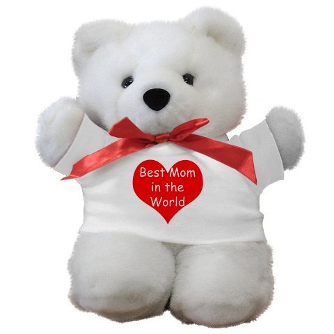 Novelty Teddy Bear