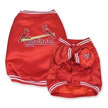 Cardinals Dugout Jacket (X-Large)