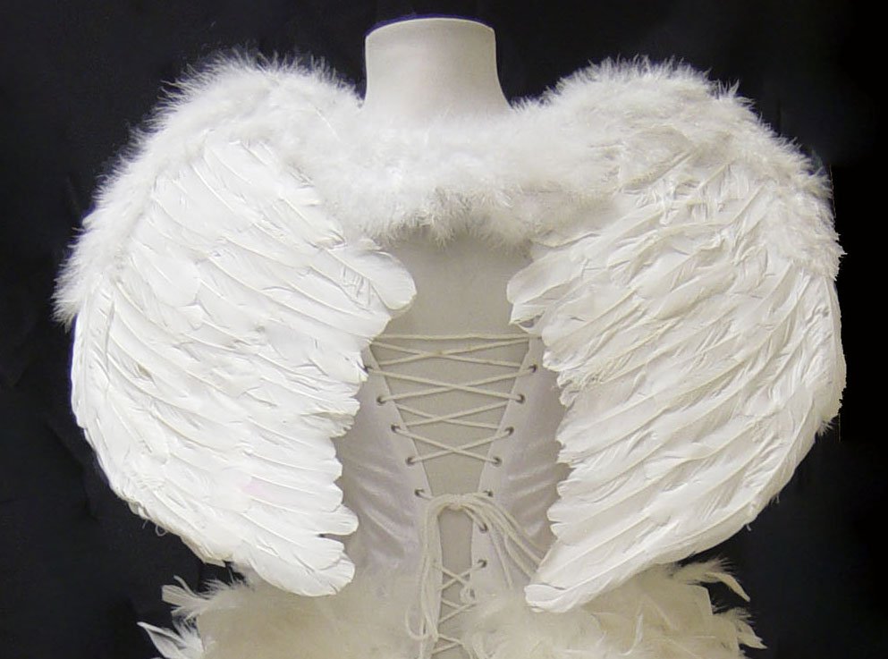 Medium White Feather Angel Wings