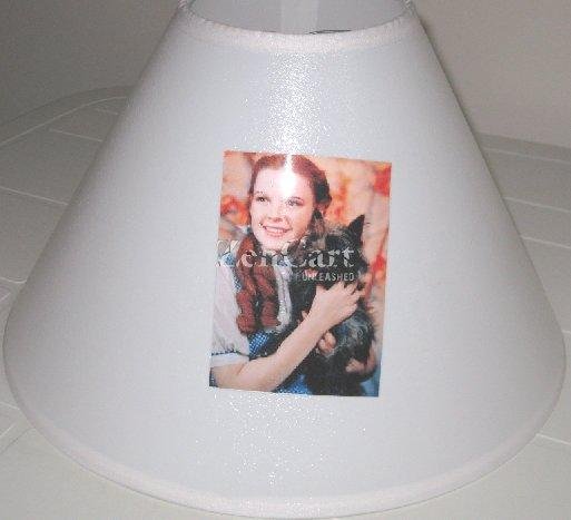 Wizard of Oz lamp Shade