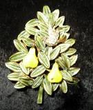 Vintage Signed Cadoro Partridge/Pear Tree Brooch