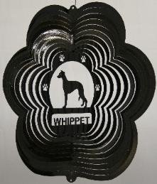 Whippet