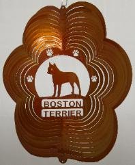 Boston Terrier