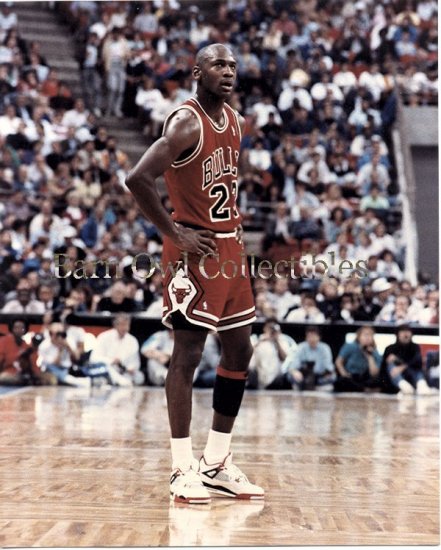 Michael Jordan Chicago Bulls 8x10 Color Photograph