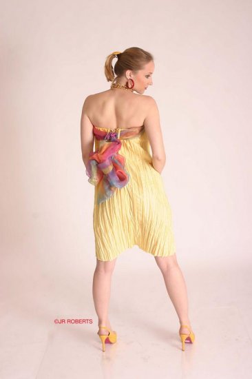 Chiffon Sun Dress