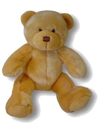 The Hope Bear