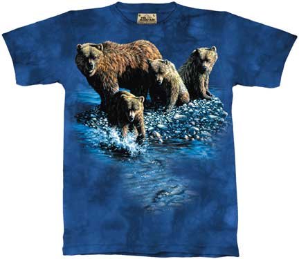 Bears Fishing