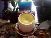 Calendula Salve