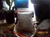 Herbal Facial Steam-Oily Skin