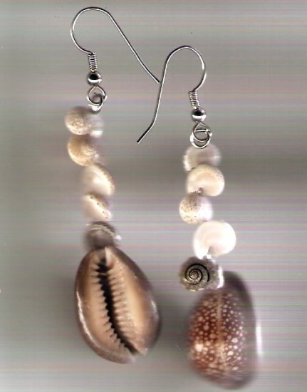 earrings made of cowry and snail shells with hypo-allergenic silver tone ear wires