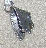 Sterling Headdress Charm