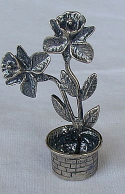 A plant -B