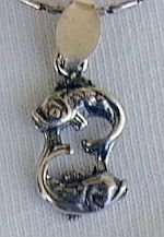Mini Pisces