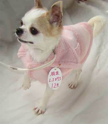 Beautiful Pink Faux Shearling Coat for Dogs XS