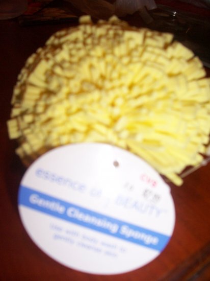 Essence of Beauty Gentle Cleansing Sponge