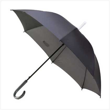 Umbrella with Cover #36426