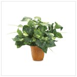 Evergreen Potted Ivy #36234