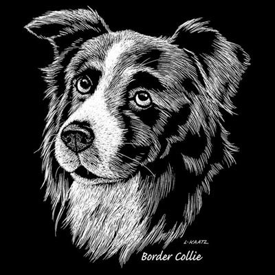 Border Collie Tshirt