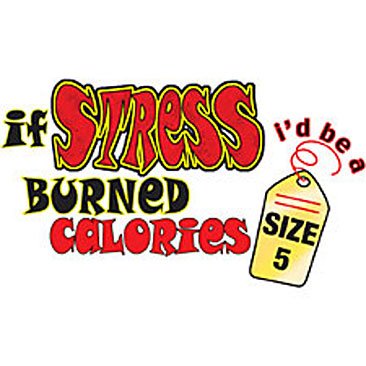If Stress Burned Calories... Funny Tshirt. T shirt