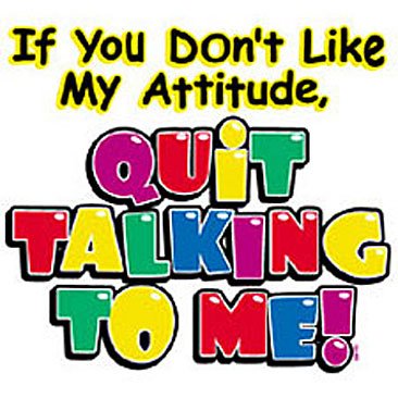 If you dont like my attitude.. Kids Tshirt
