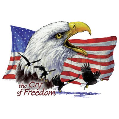 Cry of Freedom. Patriotic Eagle Tshirt/ T Shirt/ 4X long