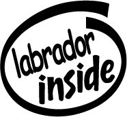 Labrador Inside Decal Sticker